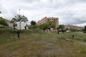 Foto limpieza solar barrio Los Alcaldes