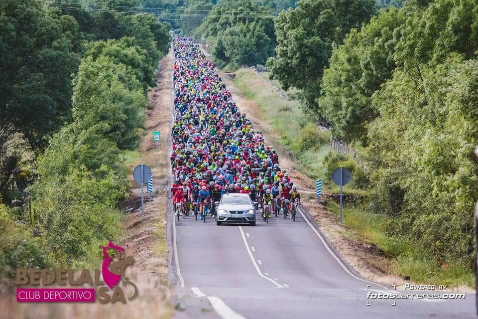 Marcha Bedelalsa post 2018