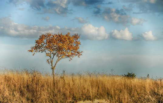 Landscape 4393721  340