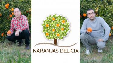 Naranjas Delicia   IP