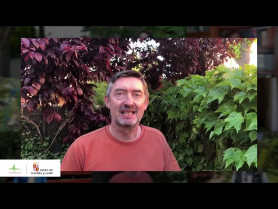 Día Mundial del Medio Ambiente