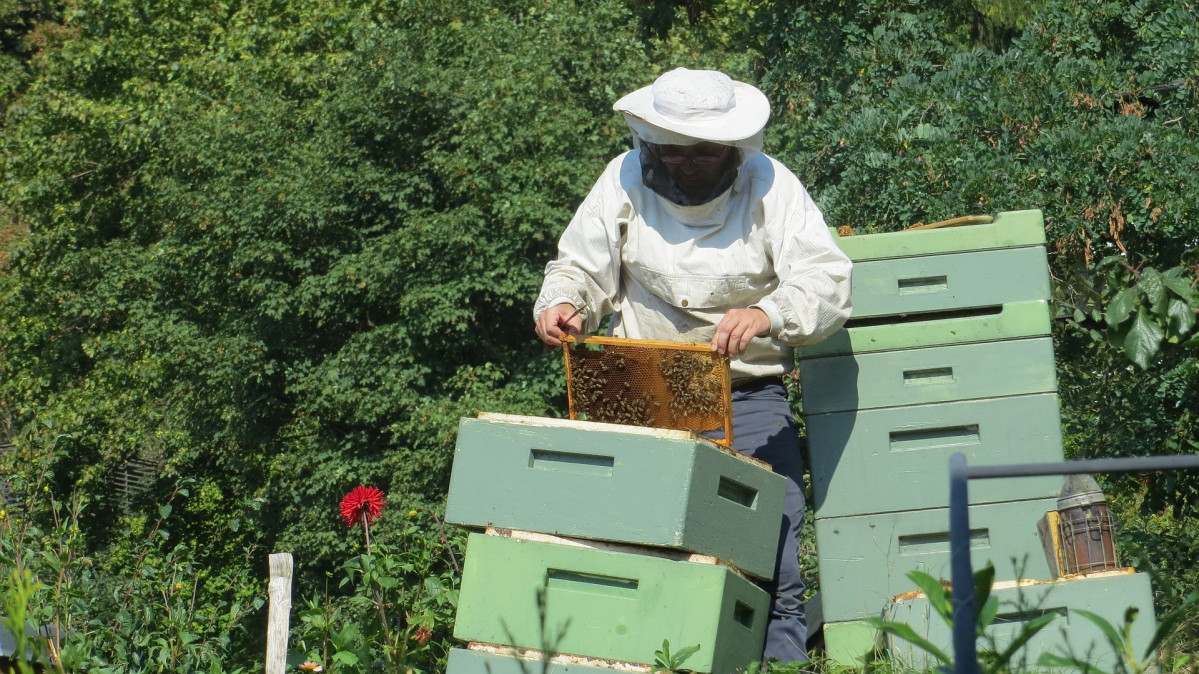 Beekeeper 941688 1920