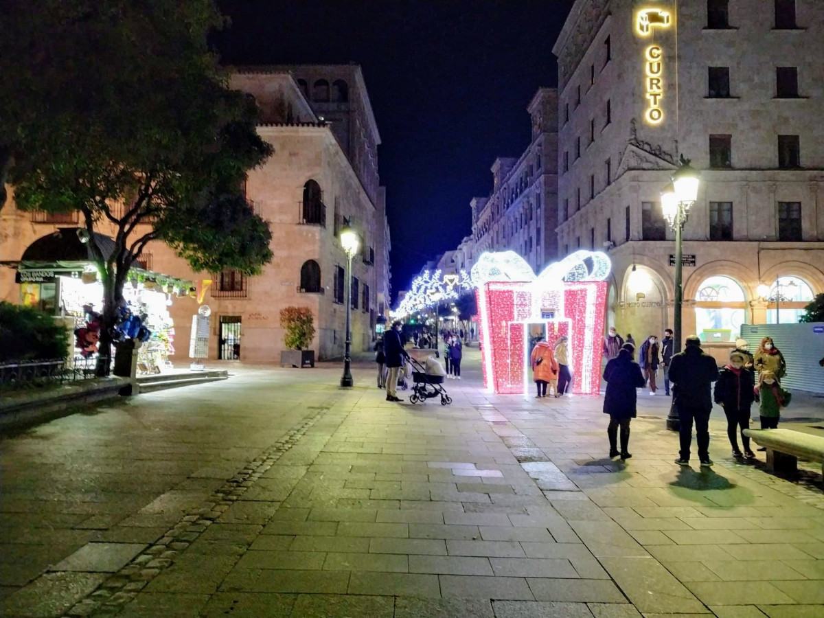 Navidad calle zamora