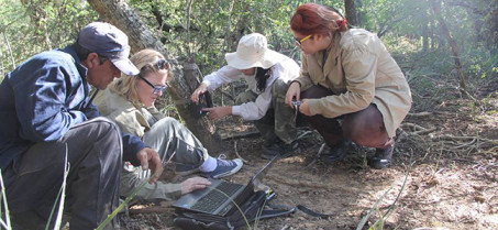 Norm Andrea Weiler con parte del equipo de colaboradores trabajando en el campo colocando y comprobando las cámaras trampa.
