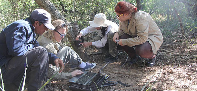 Norm Andrea Weiler con parte del equipo de colaboradores trabajando en el campo colocando y comprobando las cu00e1maras trampa.