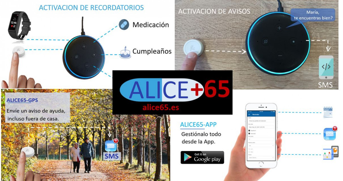 Alice65   IP