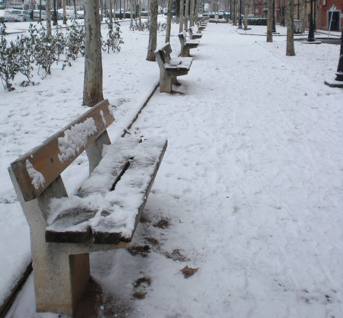 Nieve salamanca enero 2010 avenida salamanca 01