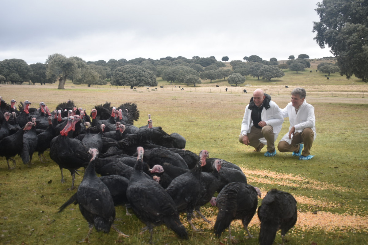 20211210 Cascajares pavos (2)