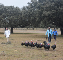 20211210 Cascajares pavos (3)