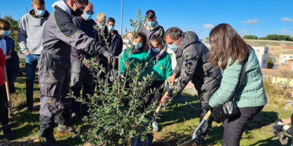 Plantacion arboles escolares ayuntamiento 660x330