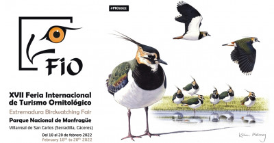 Cartel fio 2022