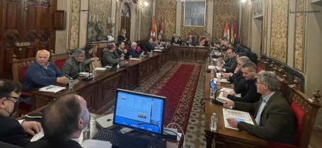 Pleno Febrero