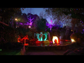 El Bosque Encantado cuando cae la noche