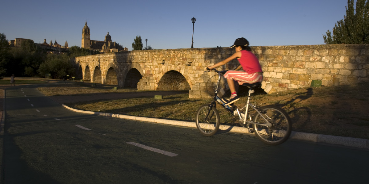 SALAMANCA Puente Romano 04